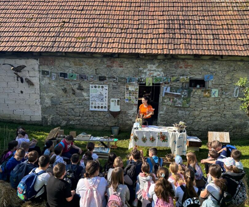 Pozdrav proljeću