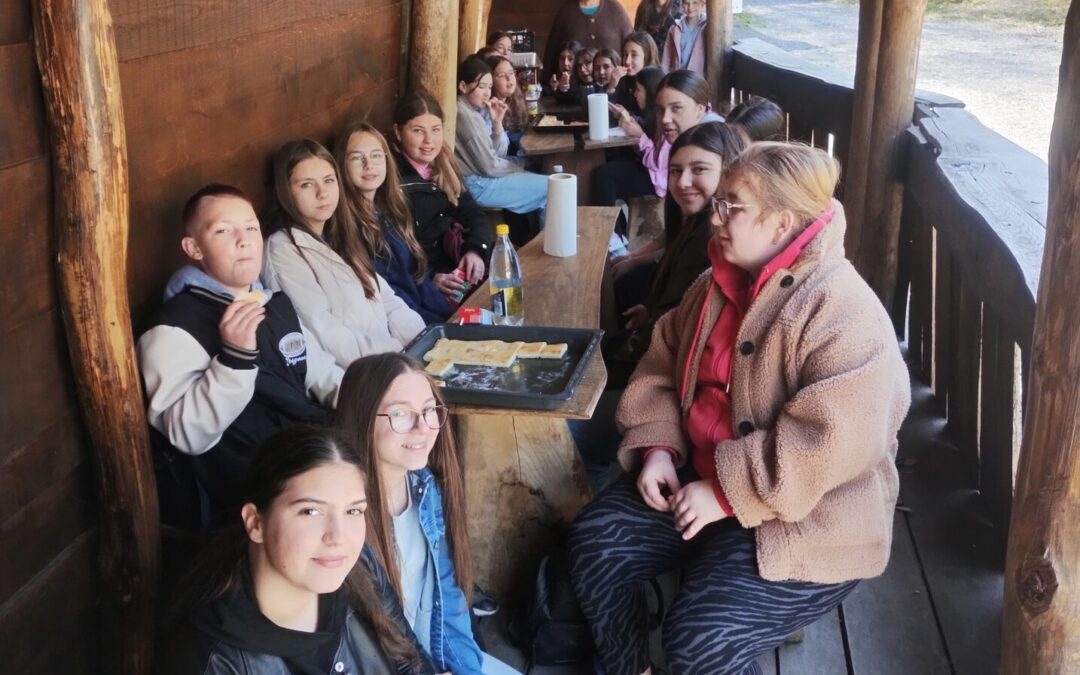 Međuzadružna suradnja