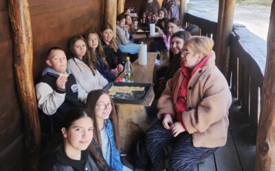 Međuzadružna suradnja